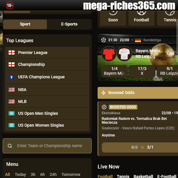 Mega Riches Sports Section Top Leagues